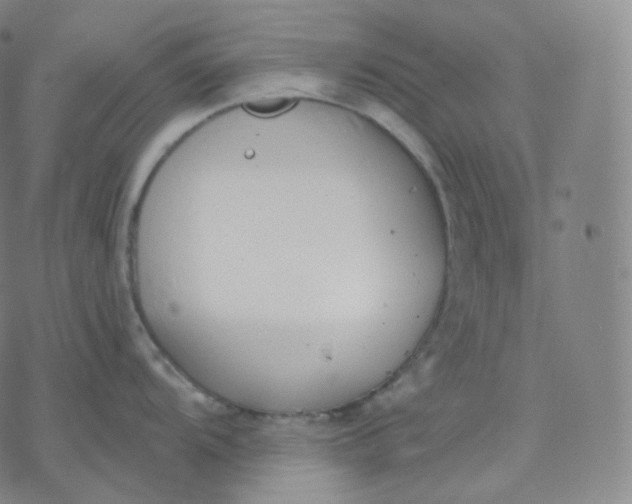 X0000076381104200610271521