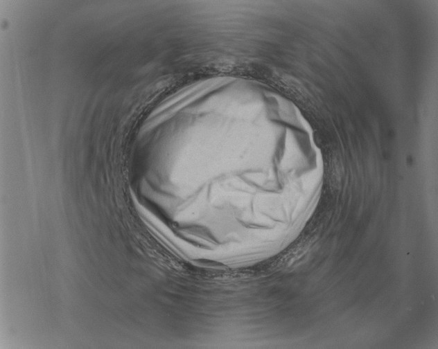 X0000076381105200610271521