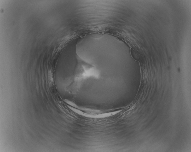 X0000076381106200610271521