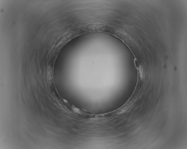 X0000076381107200610271521