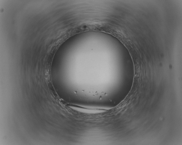 X0000076381109200610271521