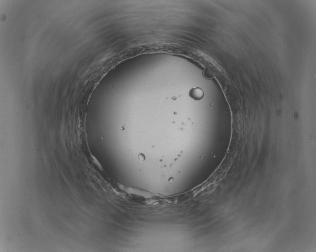 X0000076381111200610271521