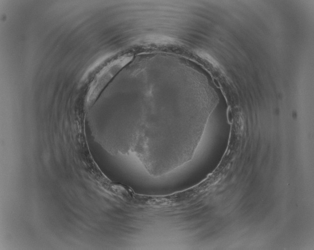 X0000076381112200610271521