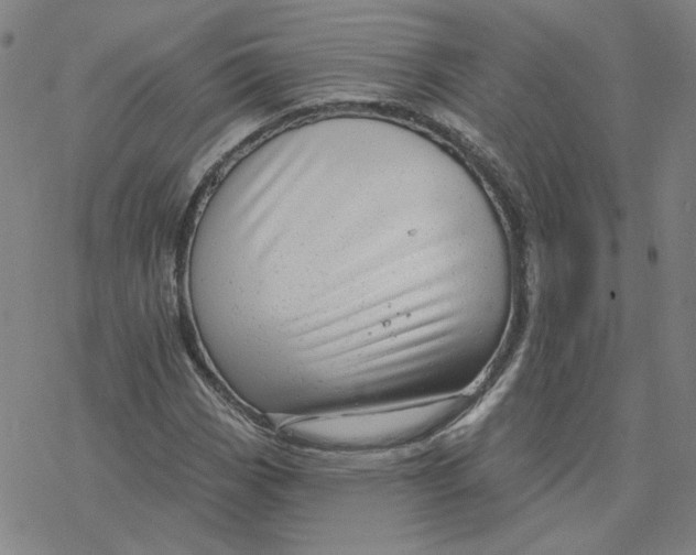 X0000076381113200610271521