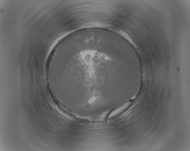 X0000076381116200610271521