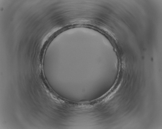 X0000076381117200610271521