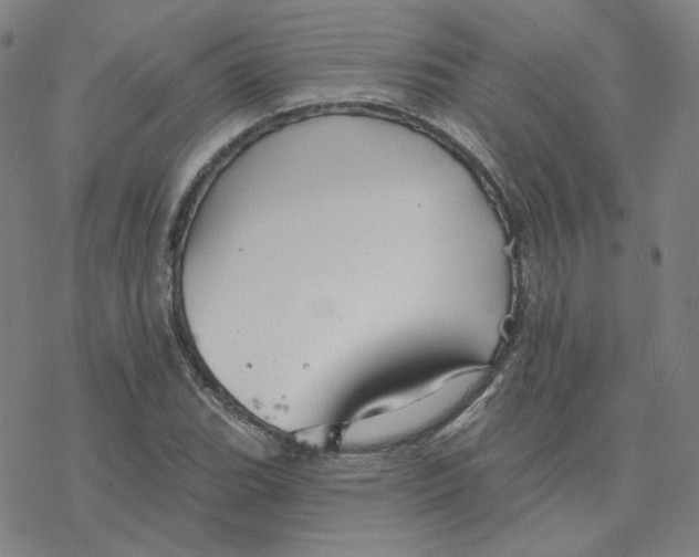 X0000076381119200610271521