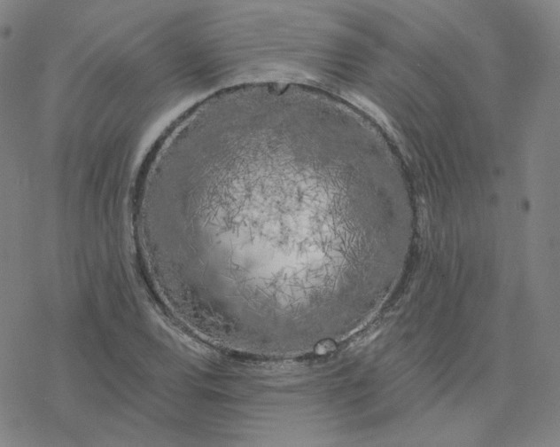 X0000076381120200610271521