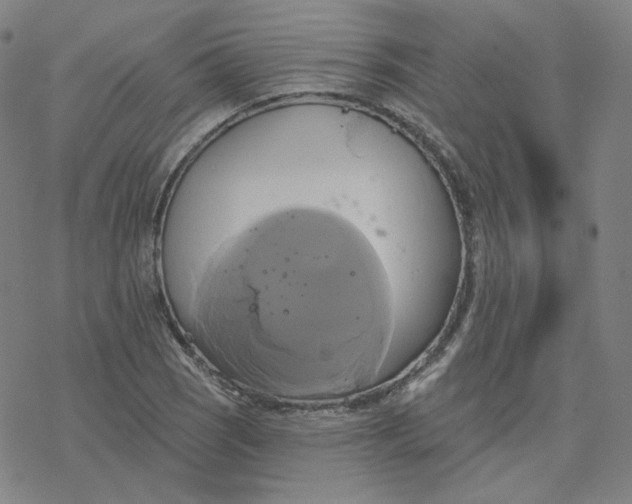 X0000076381121200610271521