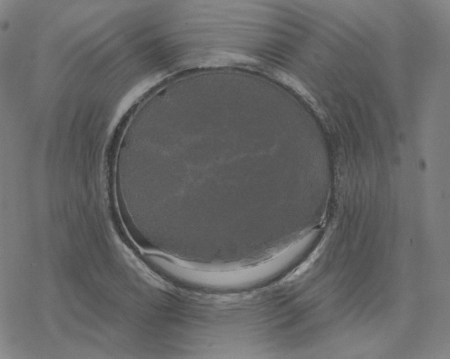 X0000076381122200610271521