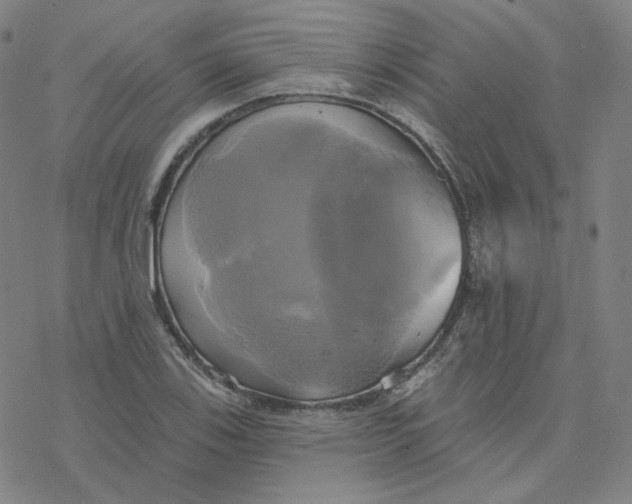 X0000076381123200610271521