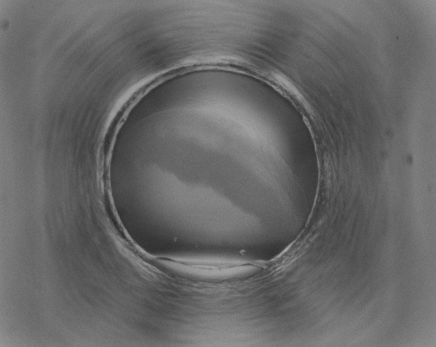 X0000076381124200610271521