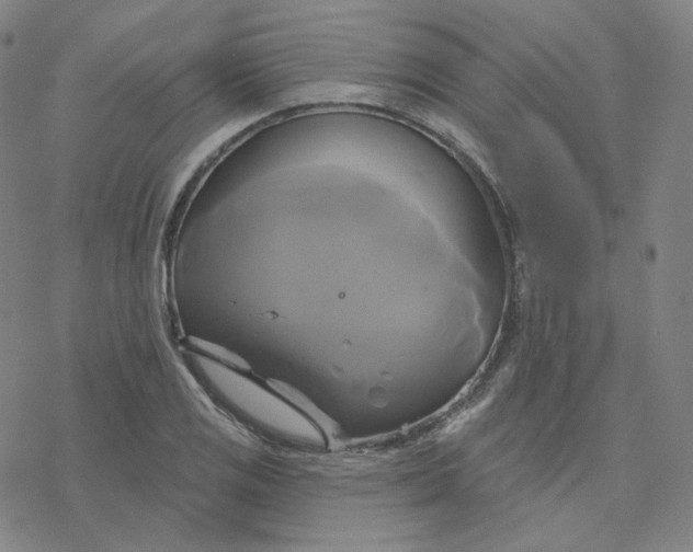 X0000076381125200610271521