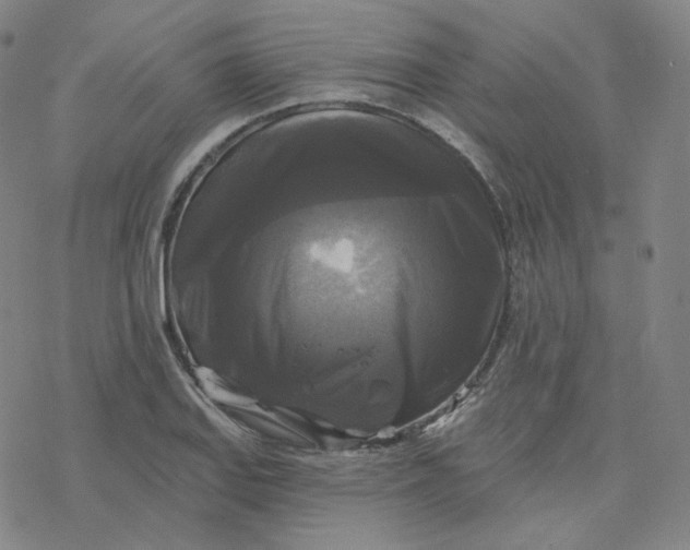 X0000076381127200610271521