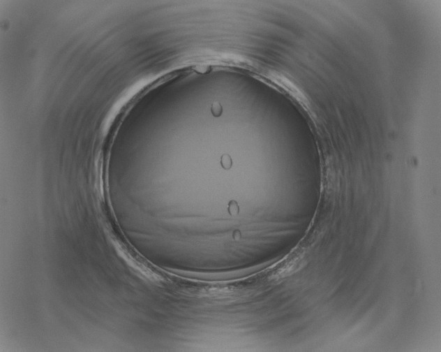 X0000076381128200610271521