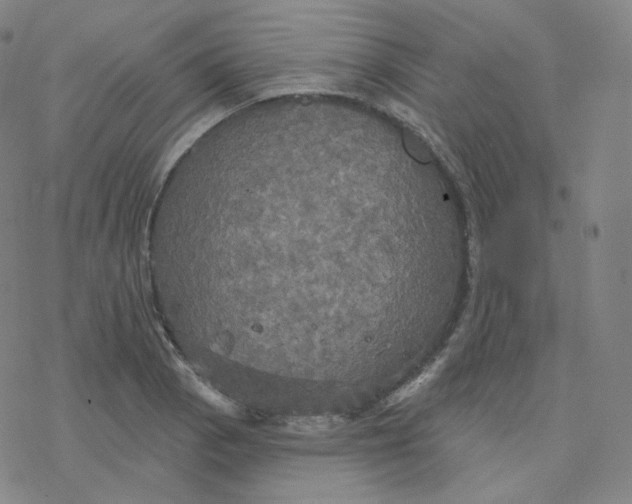 X0000076381129200610271521