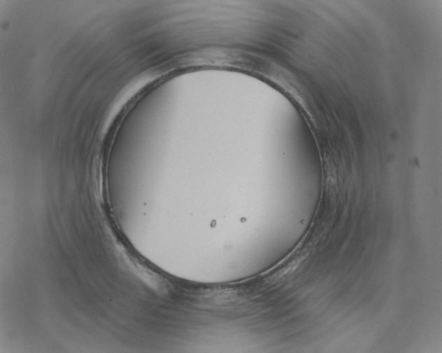 X0000076381131200610271521