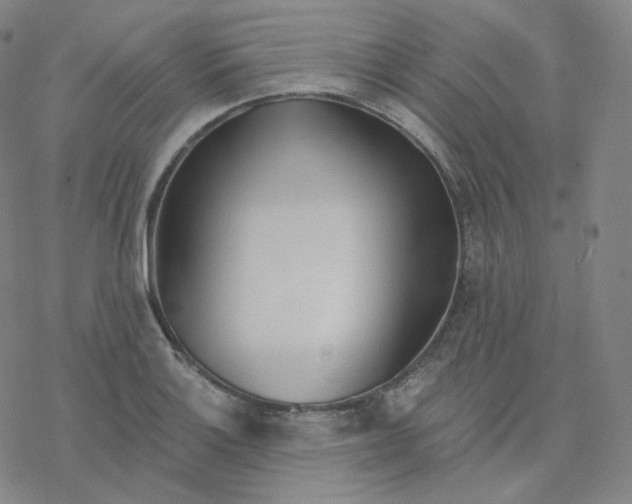 X0000076381132200610271521