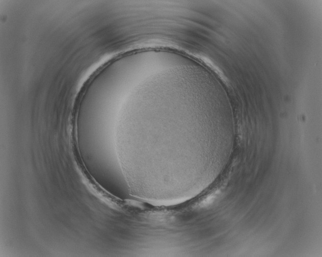 X0000076381134200610271521