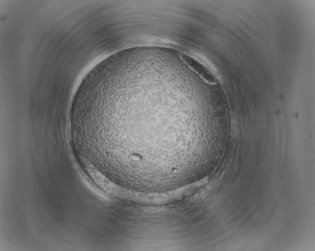 X0000076381136200610271521