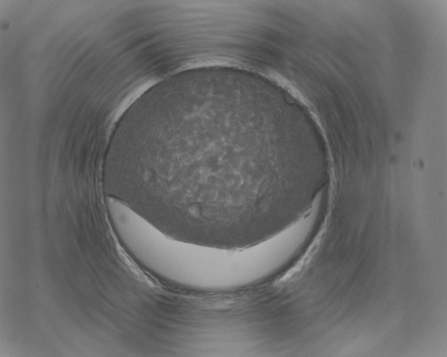 X0000076381137200610271521