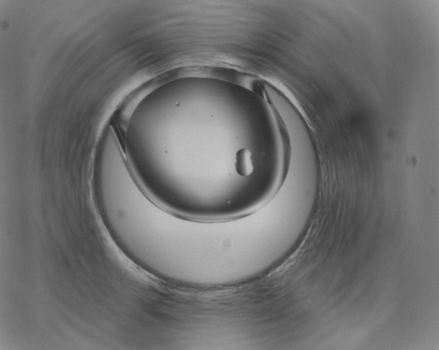 X0000076381139200610271521