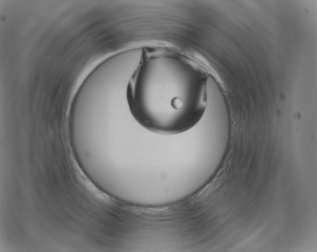 X0000076381140200610271521