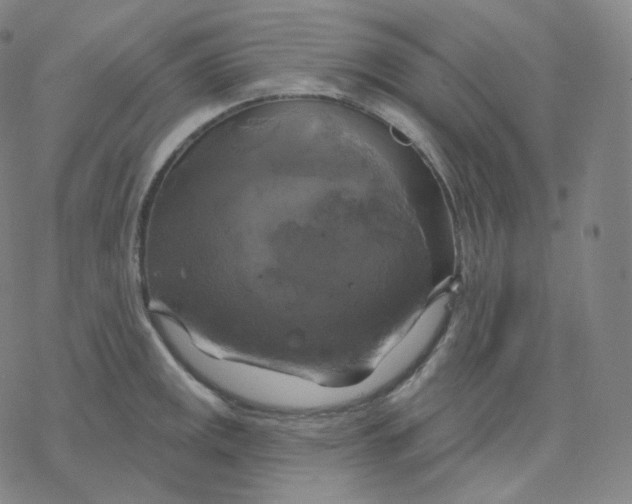 X0000076381141200610271521