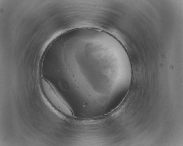 X0000076381142200610271521