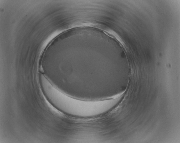 X0000076381143200610271521