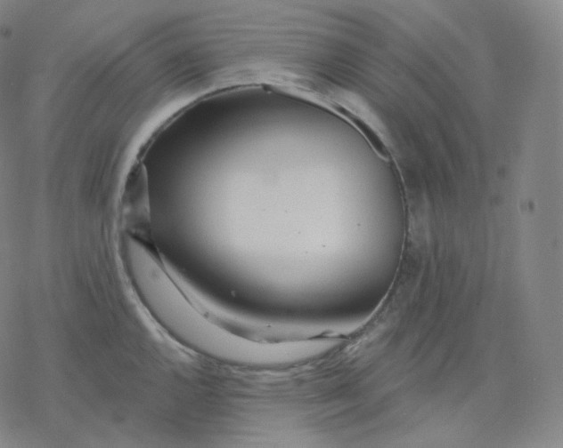 X0000076381144200610271521