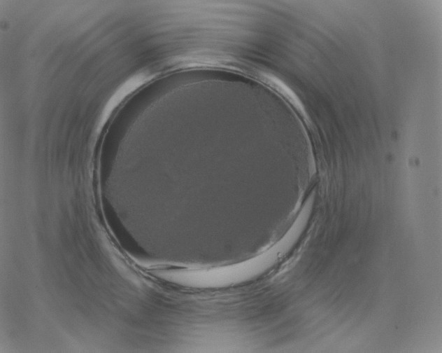 X0000076381146200610271521