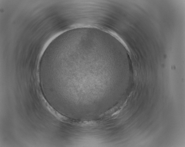 X0000076381148200610271521