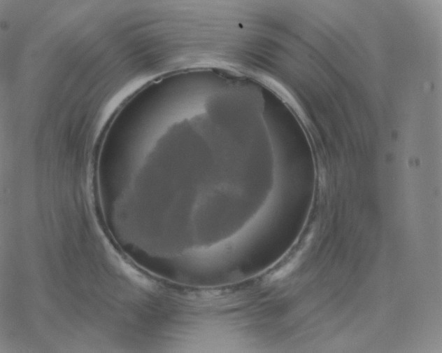 X0000076381149200610271521