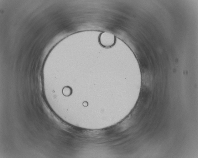 X0000076381150200610271521