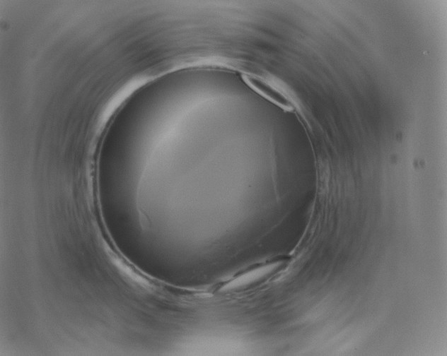 X0000076381151200610271521