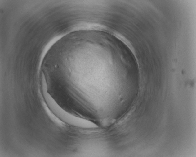 X0000076381152200610271521