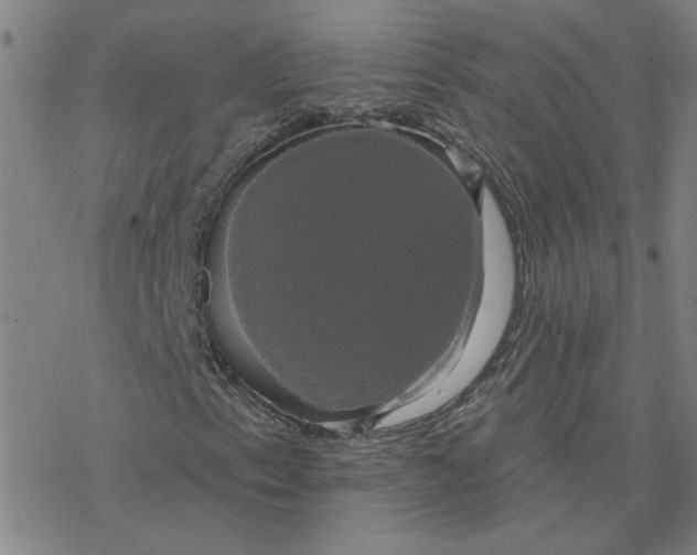 X0000076381153200610271521