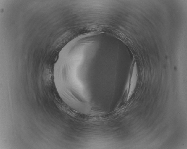 X0000076381154200610271521