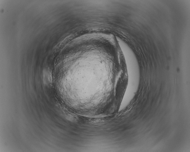 X0000076381155200610271521