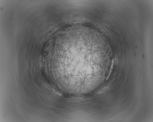 X0000076381156200610271521