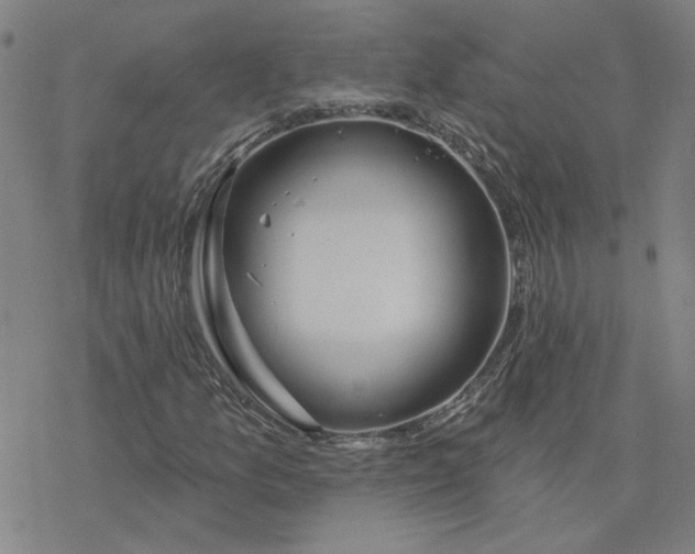 X0000076381157200610271521