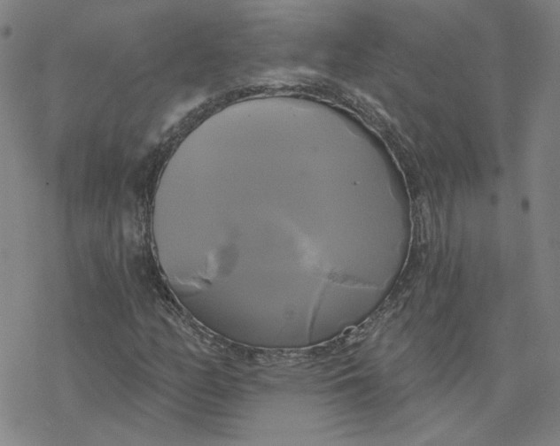 X0000076381158200610271521