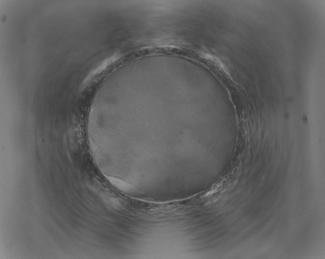 X0000076381159200610271521