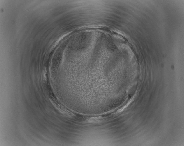 X0000076381161200610271521