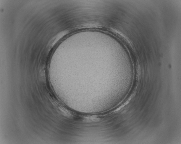 X0000076381162200610271521