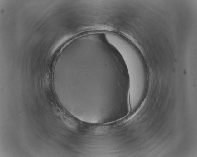 X0000076381163200610271520