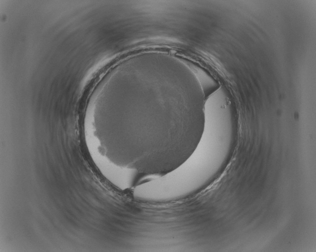 X0000076381164200610271520