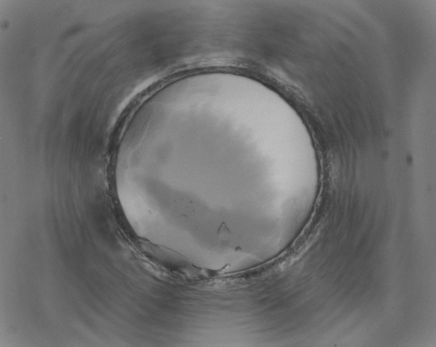 X0000076381166200610271520