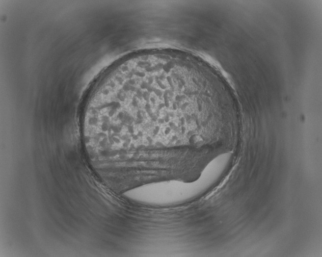 X0000076381167200610271520